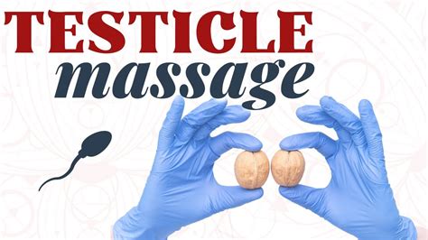 This massage can be practiced every day in the morning and evening. . Testicle massage for fertility